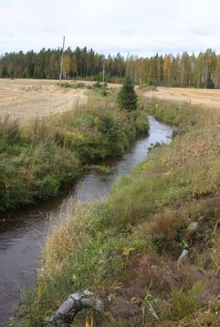 alaosa kärsii huomattavasta eroosiosta Alaosalla Pukarantien ja Saunanevan välisellä metsäosuudella uomaeroosion ja hiekan haittavaikutusten vähentäminen tai alueelle pidättäminen.