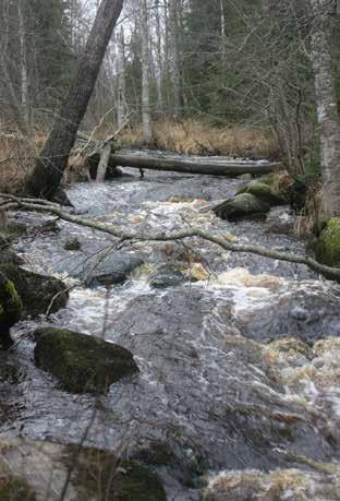 Ristiluoman karkeakivisiä koskia luoman