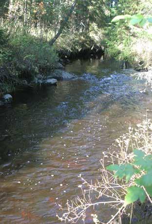 Näätäkoski Puntarinkosken tanssilava Lamminkylän yläpuolinen joki alue on pääosin hidasta ja syvähköä noin 5-8 m leveää jokea, joka kulkee alaosa peltoalueilla kapean lehtipuukaistaleen suojassa ja