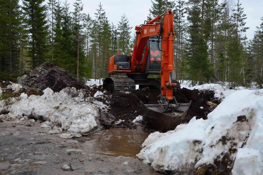 Miten luontoarvoja kompensoidaan? Tampere 13.6.