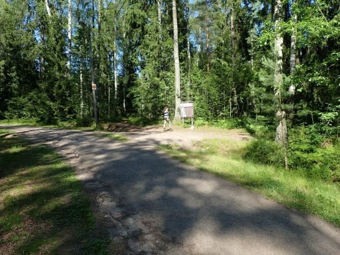 Asuinpaikkahavaintoja koekuopista risteyksessä olevan taulun takaa ja itäpuolelta (oik.) ja taulun länsipuolella olevan polun pinnasta (ne osin epämääräisiä). Kuvattu pohjois-koilliseen.