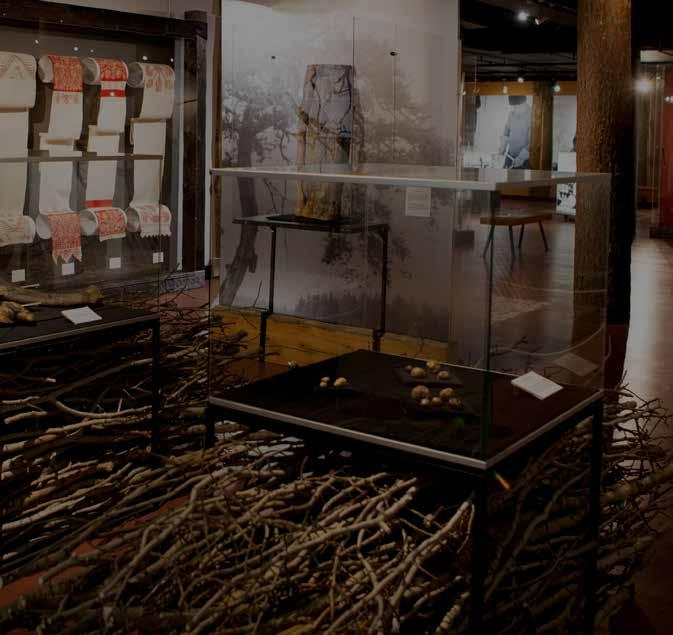 www.pohjoiskarjalanmuseo.fi PÄÄSYMAKSUT 3/5, perhelippu 11 ryhmälippu (min. 10 henkeä) 3 Museon pääsymaksuun sisältyy Mukulakatu.