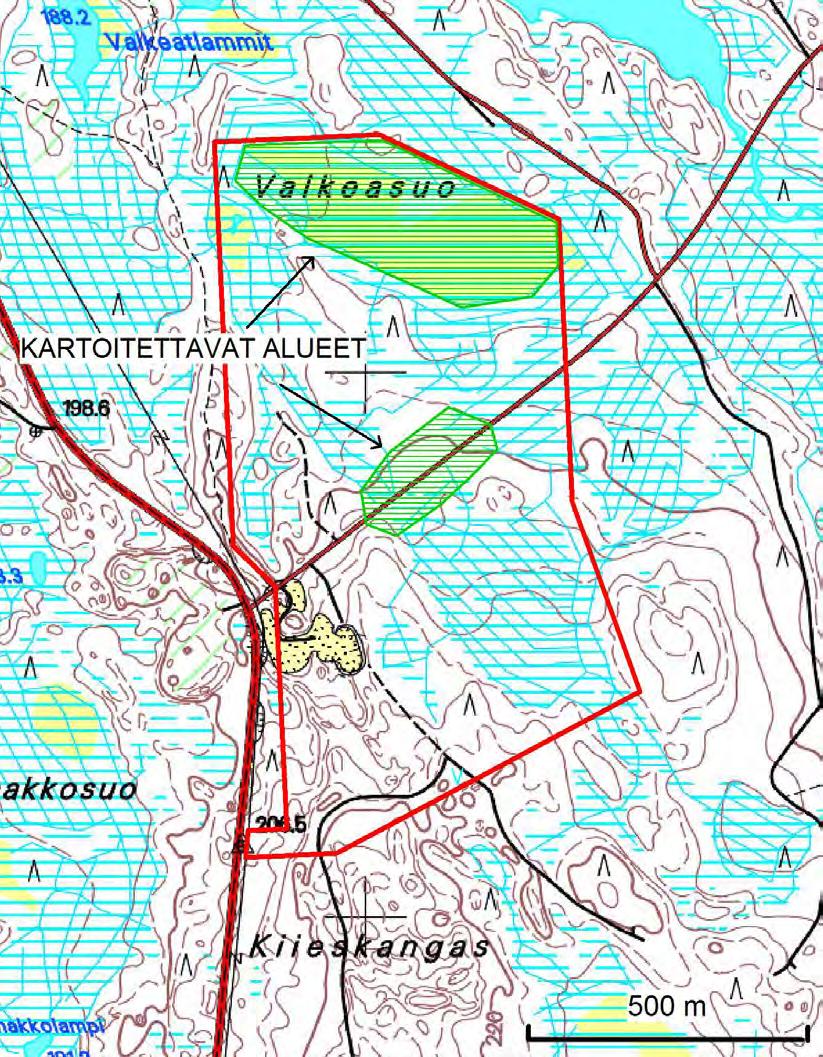 Sivu 11 3.6 Hosko Kohteella pääosin kuivia mäntykankaita ja osin aukkohakkuita, joilla ei ole linnustollista merkitystä (Kuva 9).