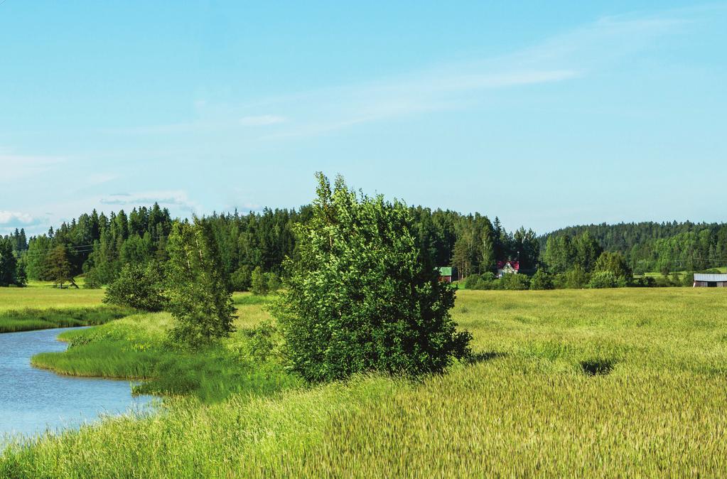 Verkon hallinta Keskeiset omaisuudet Standardit ja testit takaavat korkean 24 kv:n jännitteelle suunniteltu Ensto Ergoswitch sopii kaikkiin keskijänniteverkkoihin.
