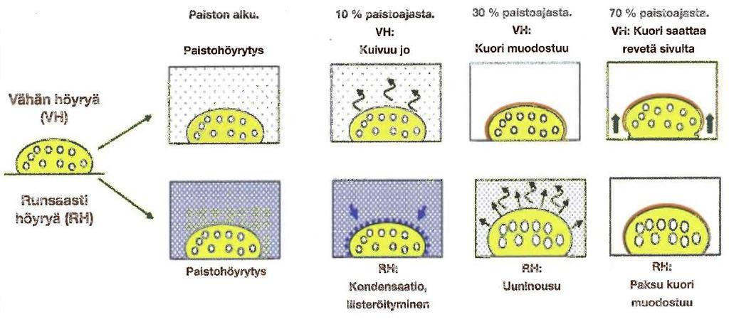 13 aansa ja nopeuttaen taikinan lämpenemistä. Tämä on erityisen tärkeää, kun halutaan valmistaa patongin tai polakan tyyppisiä paksukuorisia leipiä.