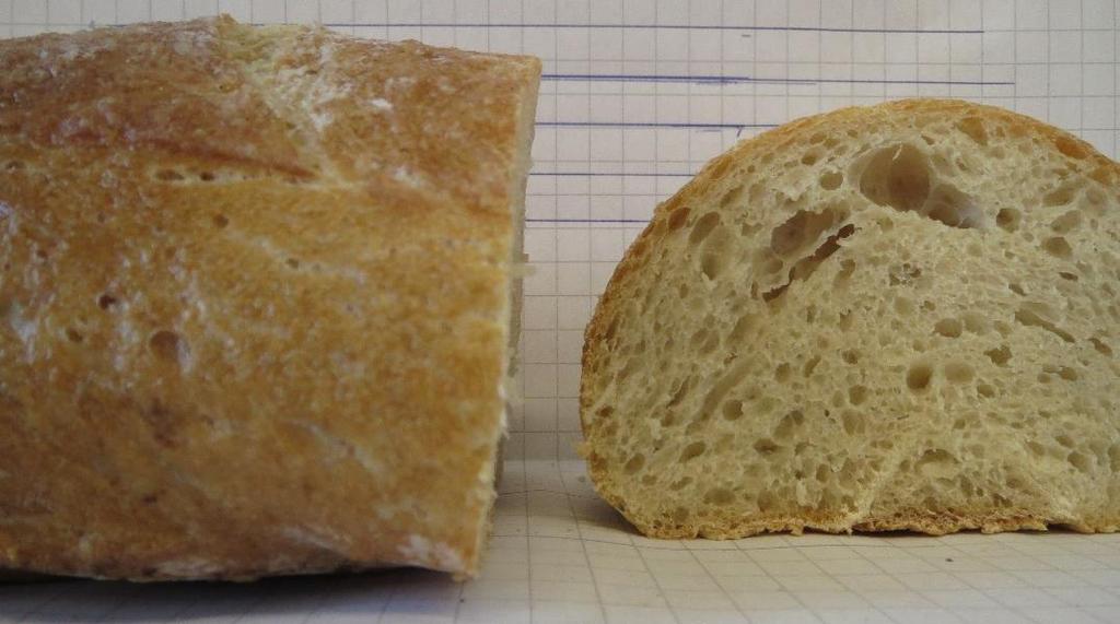 22 Kuva 9. Ciabatta, neljäs erä. 7.4.1 Aistinvarainen rakennemittaus Tuotetta voidaan arvioida myös ihmisaistein ilman konetta.