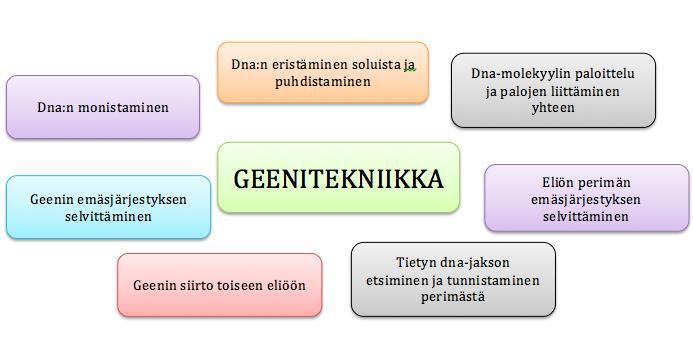 MUISTIINPANOT Voit tehdä muistiinpanoja myös itse lukemastasi, omin sanoin - samoin syy-seurauskaavioita, aikajanoja, tiivistelmiä. Kaikesta ei ehdi.