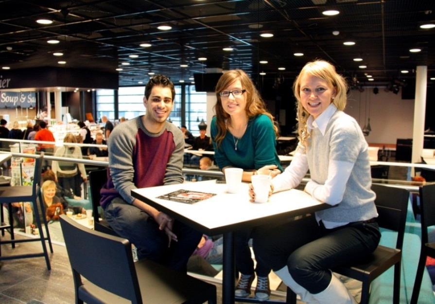 Mikkelin ammattikorkeakoulu MAMK (1.