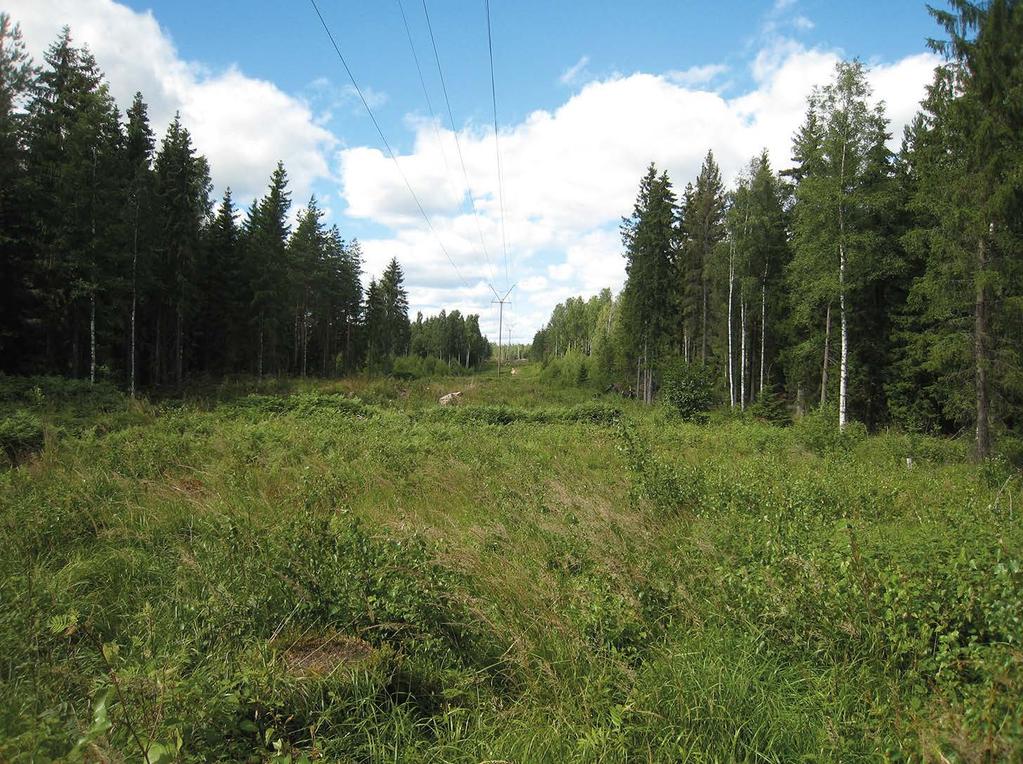 Hankealueesta pohjoiseen ja koilliseen maisemakuvaa leimaavat laajat täytemäki- ja jätteenkäsittelyalueet, jotka rajautuvat metsiin.