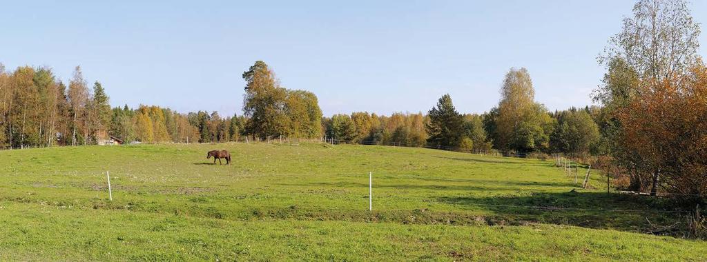 Vaihtoehdon VE3 vaikutukset maisemaan ja kulttuuriympäristöön ovat suuruudeltaan pieniä hankevaihtoehdon VE1 ja VE2 tapaan ja voimajohdon sekä kaasuputken siirron vaikutukset ovat hankevaihtoehdon