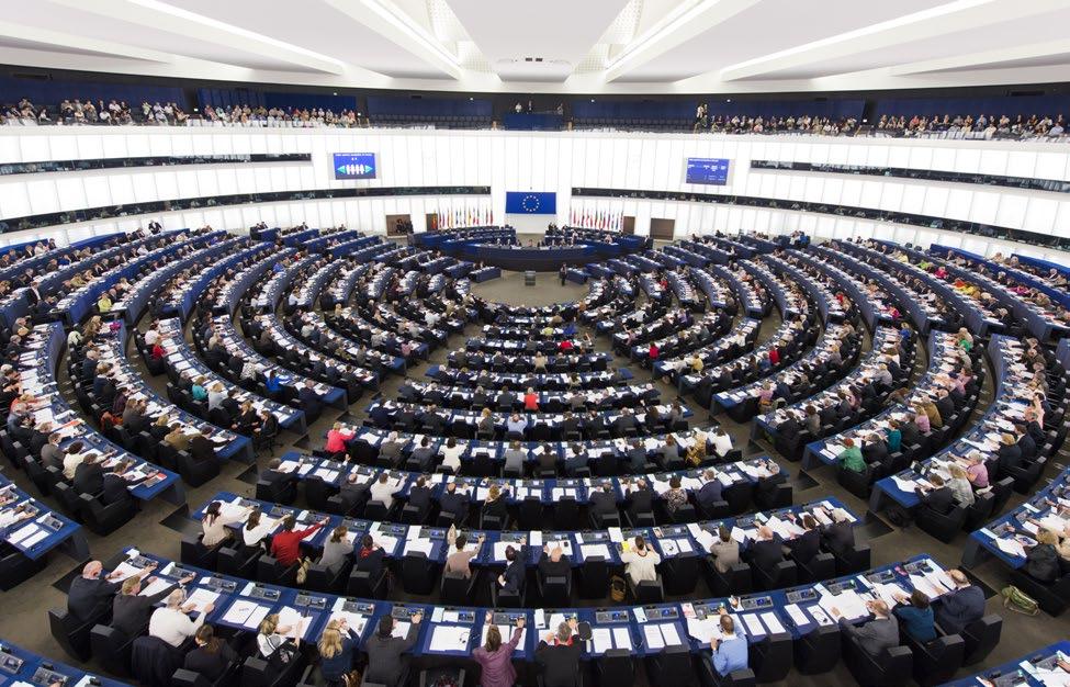 Ellei toisin mainita, koko esitteessä käytetään seuraavia merkintöjä naiset miehet Tietolähteet Euroopan parlamentti ja sen elimet: www.europarl.eu tilanne 5.11.