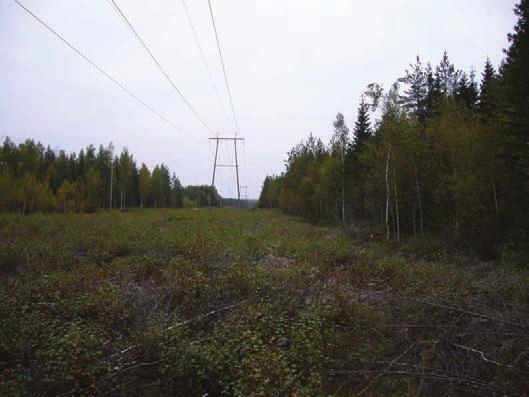 Voimala 11 (KKJ 6994268,3221274) Pieneen rämeeseen rajoittuva sekapuustoinen kangasmetsä; tuoretta ja kuivaa kangasmetsää.