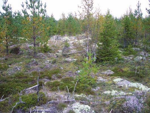 Kuva 32. Rakennuspaikka 17.