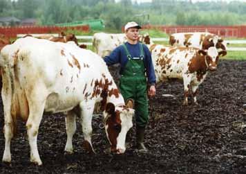 hyvinvointia ja terveyttä vaarantamatta. Oleellista on vähentää hävikkiä ja parantaa ravinteiden kierrätystä kaikilla tuotannon osa-alueilla.