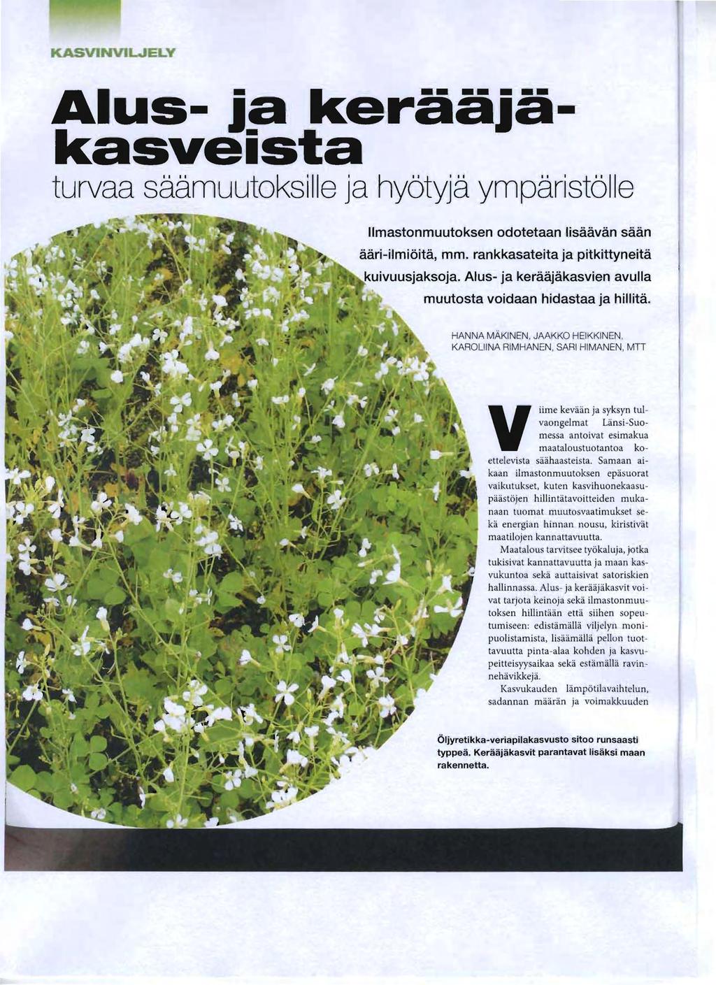lu~ilpiivliwely A us- ja keraajakasveista turvaa saamuutoksille ja hy6tyja ymparist611e IImastonmuutoksen odotetaan Iisaavan saan aari-ilrnioita, mm. rankkasateita ja pitklttyneita kuivuusjaksoja.