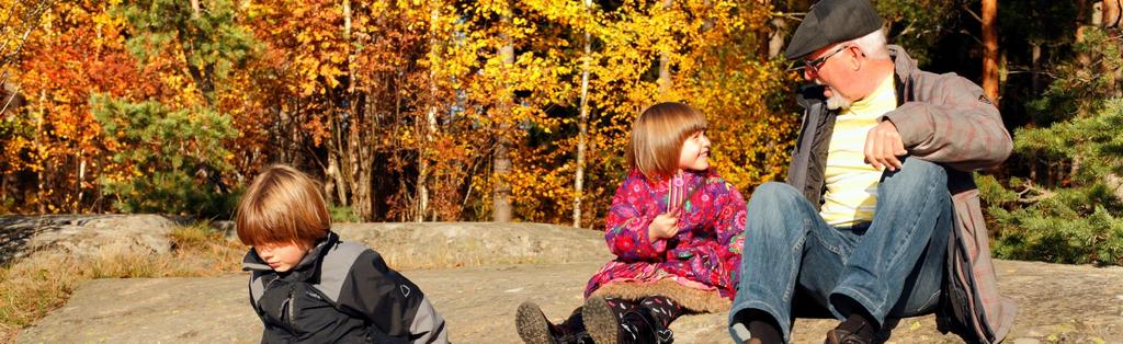 Esittämistapa (13 artikla) ja pakkauksen ulkonäkö (14 artikla) Pakkaus tai merkinnät eivät saa antaa väärää vaikutelmaa tuotteen ominaisuuksista,