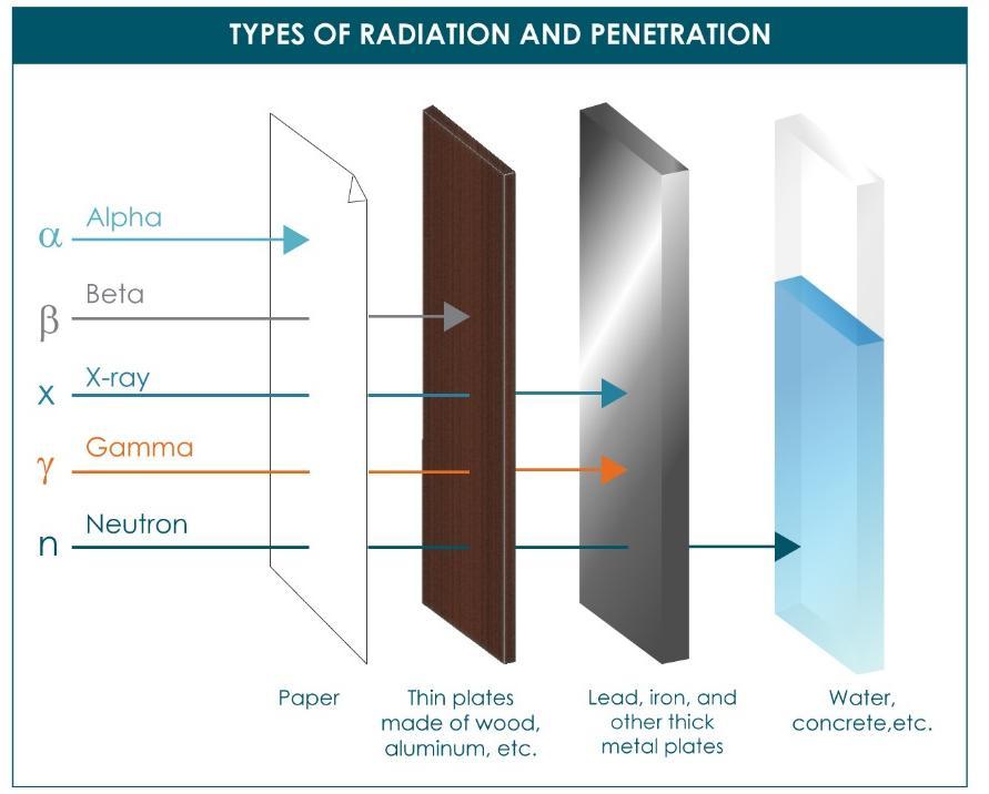 Types of radiation Radiation occurs in forms of rays and particles:j Charged particulate radiation: Fast electrons (β +, β -, e - ) Uncharged radiation: Heavy charged particles (ions; e.g. α, p +, fission products) Electromagnetic radiation (X-rays, gamma-rays) Neutrons (fast and slow neutrons) https://www.