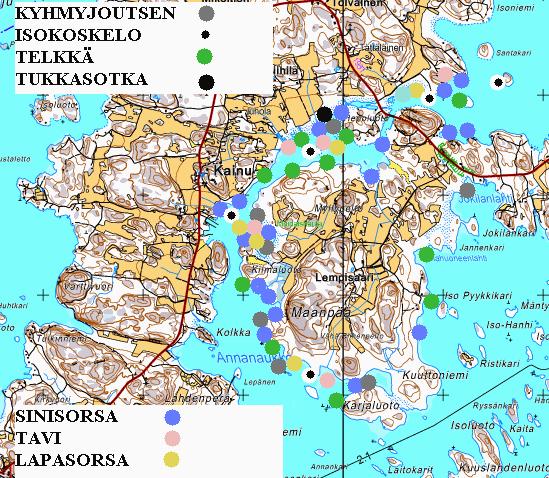 Osa alue E ja D (etelä osa): Lempisaari Livonsaari Ranta alueiden lajisto eteläisimmällä osa alueella koostui pääosin tavallisimmista vesilinnuistamme muiden osa alueiden tapaan.