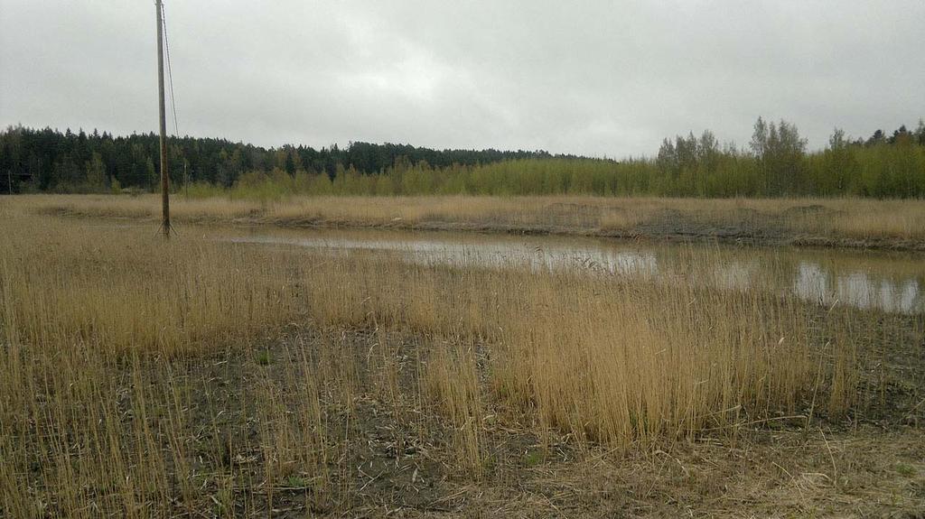 veneväylä ja taustalla koivikoituneet ruoppausvallit