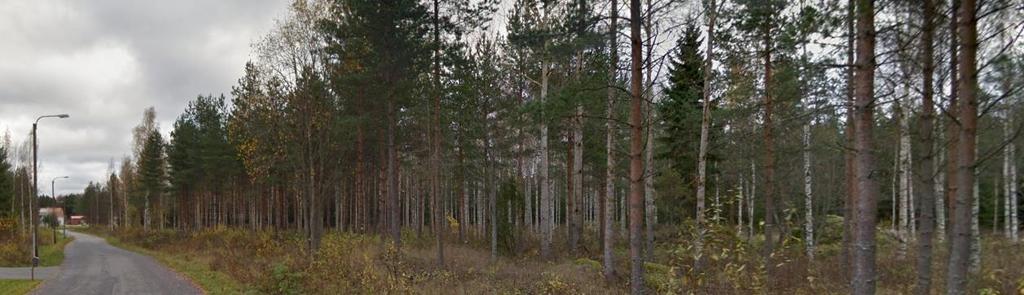 FCG SUUNNITTELU JA TEKNIIKKA OY Selostus, ehdotus 7 (23) Kuva 3 Näkymä suunnittelualueelle Kalpatieltä (Kuva: Googlemaps) Kuva 4 suunnittelualueen likimääräinen sijainti suhteessa Napuen vanhaan