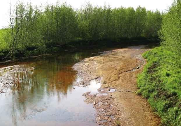 10.5 Pintavesien tilan parantamistarpeet Läntisellä vesienhoitoalueella on runsaasti pintavesien tilan parantamistarpeita.