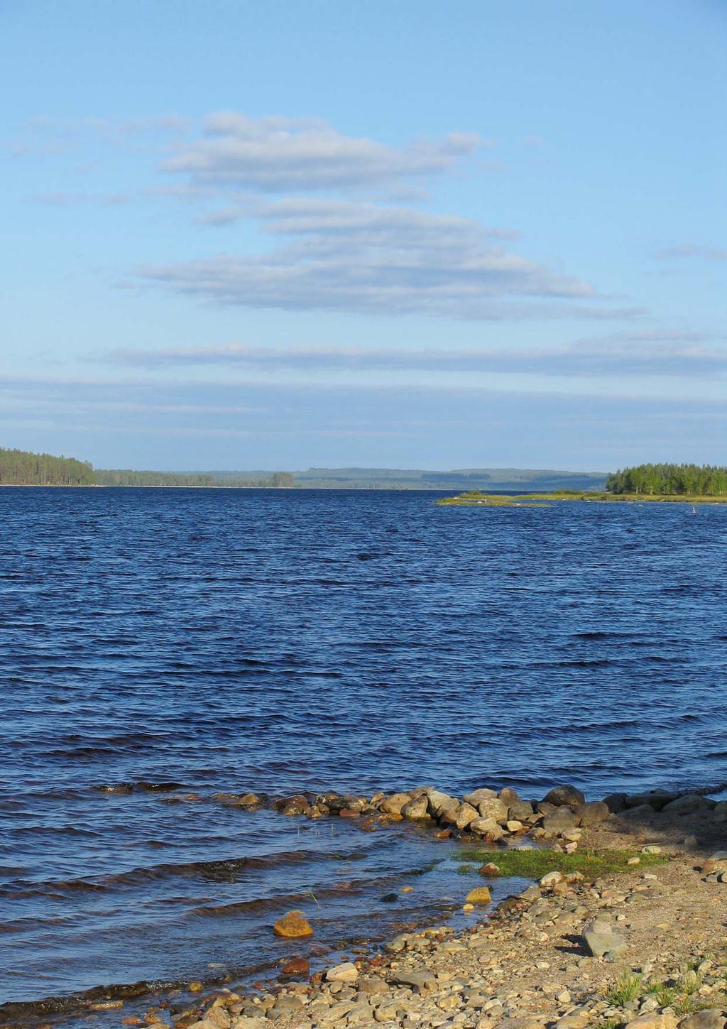 Kehityssuunnitelma Kainuun luonnontuotealan kehityssuunnitelma koostuu neljän päätavoi een alle kirjatuista toimenpiteistä ja niiden vastuutahoista.