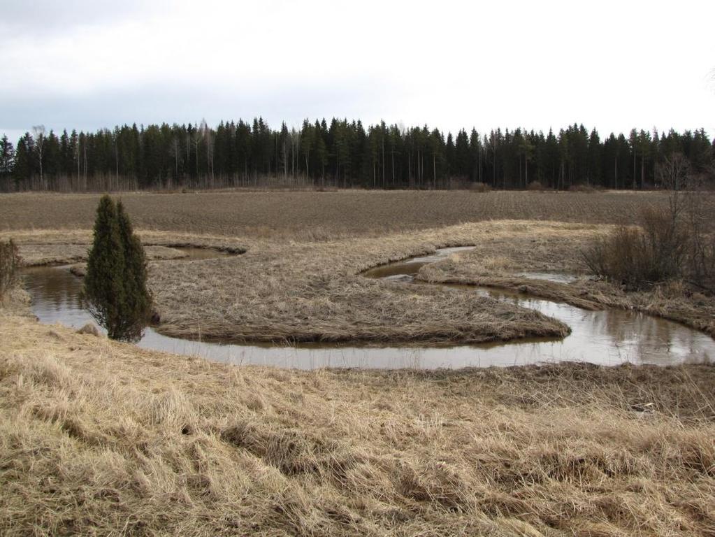 aina kasvukunnon perusta, jatkossa