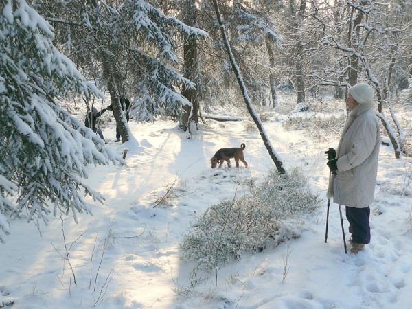 useampia? Halutaank tavitella yksinmistusta vai yhteismistusta.