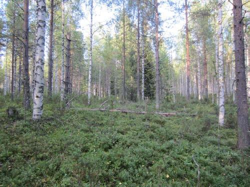PUDASJÄRVEN KAUPUNKI 26 Kuva 14.