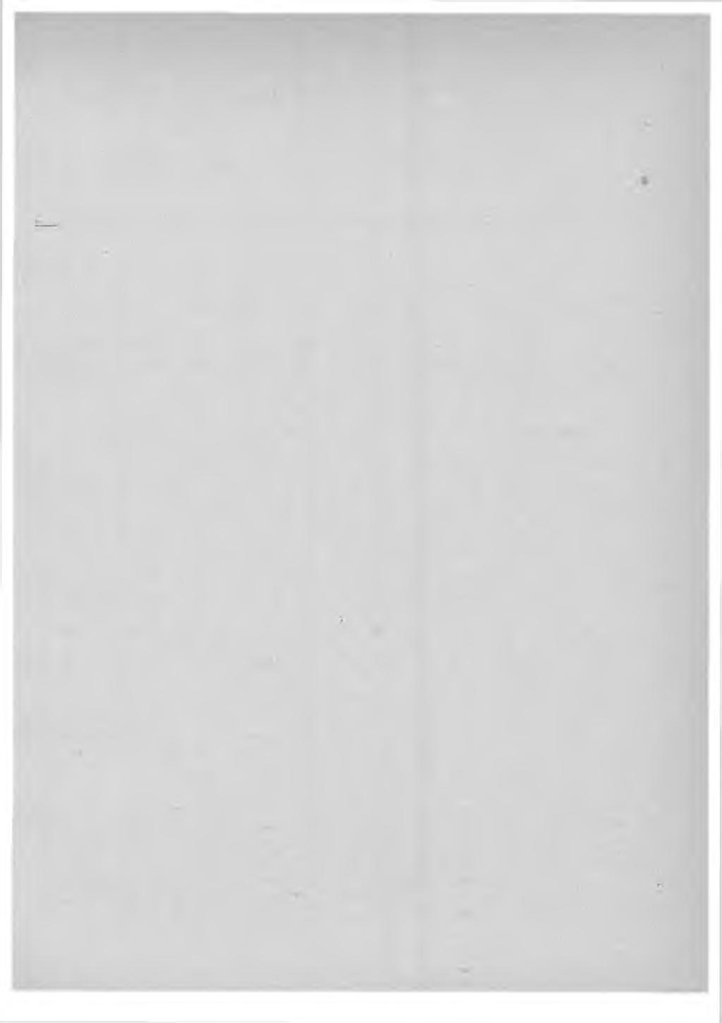 1924 POSTIHALLITUKSEN YLEISET KIRJELMÄT POSTSTYRELSENS ALLMÄNNA SKRIVELSER N:o 13 1. Postinkuljotuksesta höyrylaivoilla.