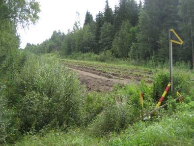 50 m kohti