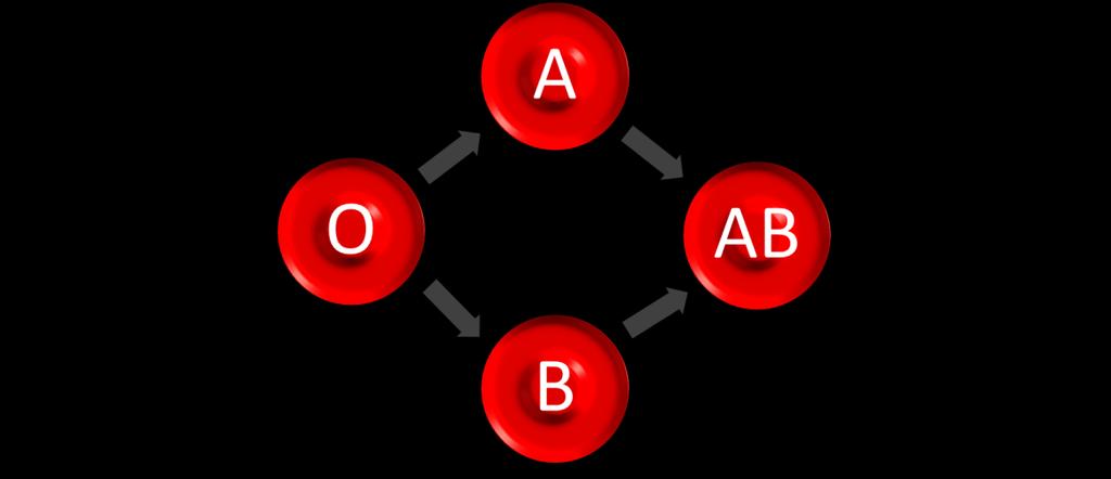 13 Kuvio 5. Punasolujen verensiirron sopivuussääntö. O-veri on yleisluovuttaja eli O-verta voidaan antaa kaikille veriryhmille, mutta itse se voi vastaanottaa vain O-verta.