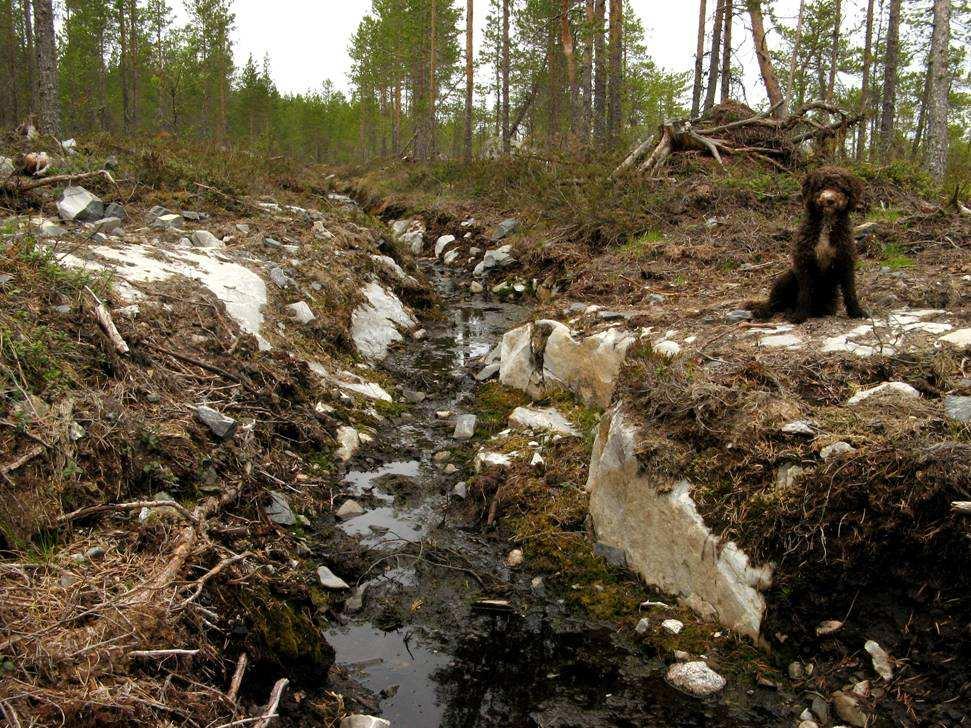 Yllämainittujen lisäksi pienempiä ongelmia esiintyi mm.