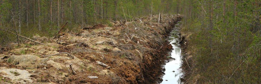 Työajanseurannan tuloksia - toteutusvaihe 1/2 TOTEUTUS Kaivun jälkeiset työt Lopputarkastus, luovutus Laskutukset yht Toteutuksen Toteutuksen Asiakkaiden Oja, m tila lkm m/h h/km Piennartie, m