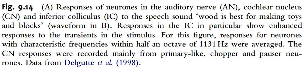 (2014) Cognitive Neuroscience of Language.