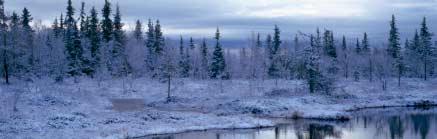 2 METSIEN KUNTO JA MONIMUOTOISUUS Vuosina 1992 2000 metsikön laatuun vaikuttavia tuhoja havaittiin 4,7 miljoonalla metsämaahehtaarilla: Etelä-Suomessa 17 prosentilla ja Pohjois-Suomessa 32