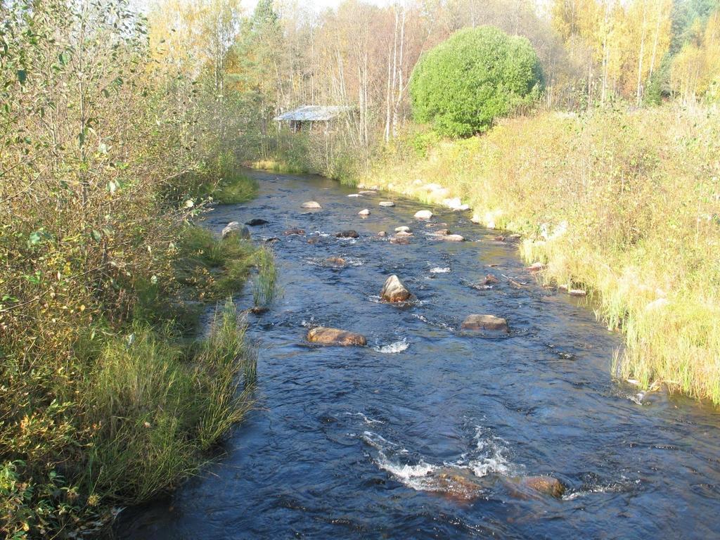 Rauvanjoki,