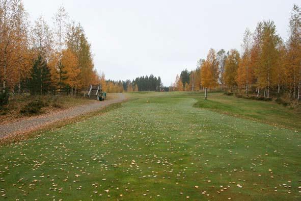 4, par 5, 479, 452, 443 ja 385 metriä + Maastoltaan selkeä tupla dogleg par vitonen + Viheriöremontti tehty syksyllä 2007 - Sokko aloitus kaikille pelaajille - Väylää ja doglegiä jakavat elementit