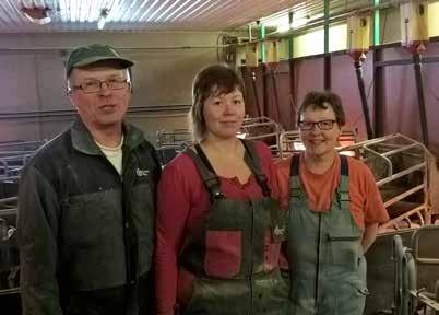 Suomalainen maatiaisemakko on kokemuksemme perusteella hyvä hoitamaan porsaitaan, eikä tallo niitä ollessaan vapaana yksin tai ryhmässä, sanoo Ismo.