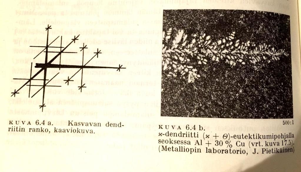 Dendriitit Suuri