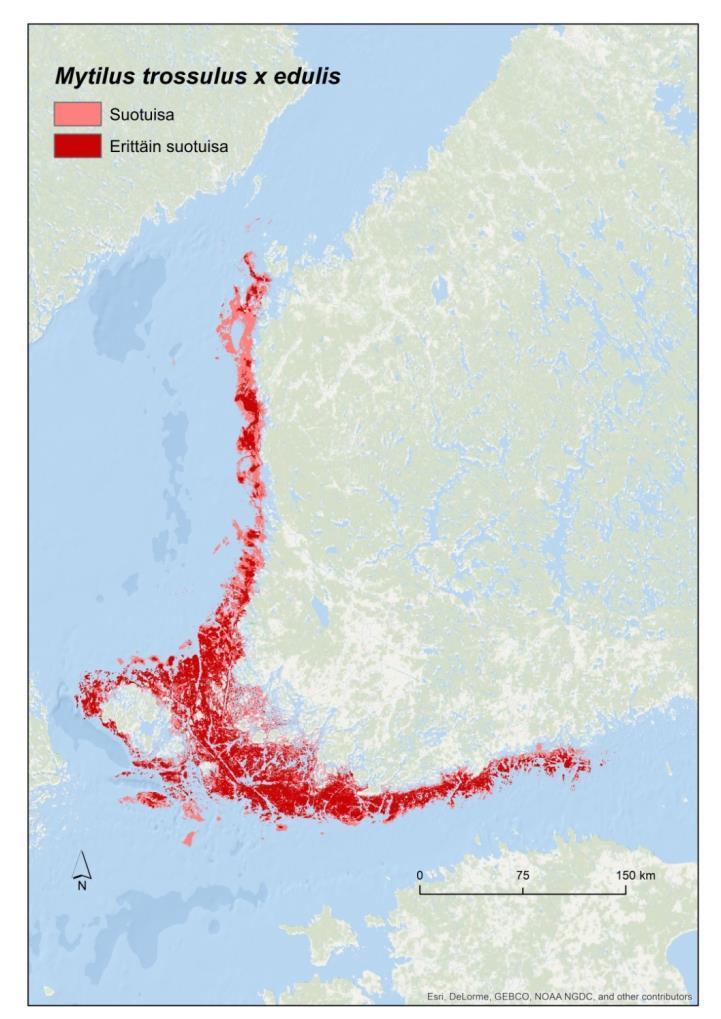 Kehitetty lajien esiintymismallinnusta Ensimmäistä kertaa koko Suomen rannikon kattavat lajien