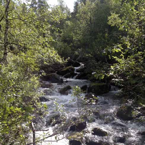 TIIVISTALO kosteudenhallintajärjestelmissä asuinrakennuksen kosteustekninen toimivuus otetaan huomioon kaikissa rakenteissa ja kaikissa rakennusvaiheissa.