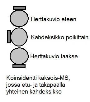 tarkoitus käydä tässä läpi, niin aihepiirin moninaisuuden valottamiseksi on syytä mainita niistä