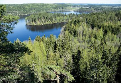Kestävä metsänkäsittely ja logistiikka kehittämisen lähtökohtia Monimuotoisuus ja muut kestävän metsätalouden vaatimukset otetaan huomioon puuhuollossa. www.metsateho.