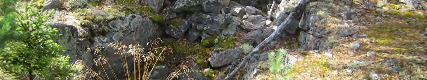 Vuonna 2007 inventoidut Järviluodon varustukset kuuluvat muinaisjäännösluokkaan 2.