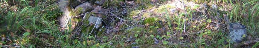 röykkiö