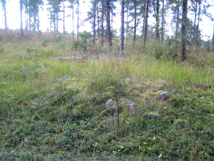 Kuva 17. Rauma Köyhäjärvi.