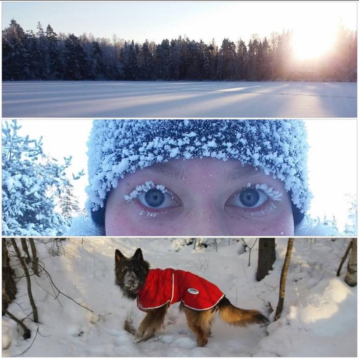PK-JAOKSEN TERVEISET Palveluskoirajaoksesta tervehdys ja hyvää sydäntalvea TuuKKilaisille! Aikamoinen talvi onkin ollut, järjettömiä lämpötilavaihteluita.