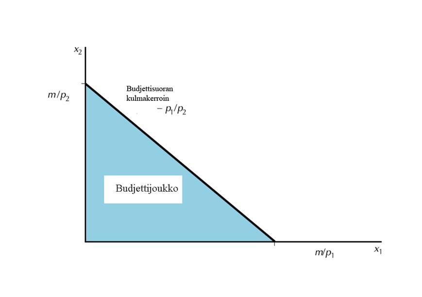 Y56 Mikrotalousteorian jatkokurssi Kevät 00 m x x budjettisuora Kuva.