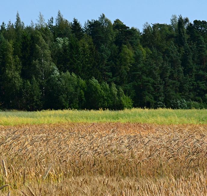 Lannoitevalmisteiden tuotevalvonnan